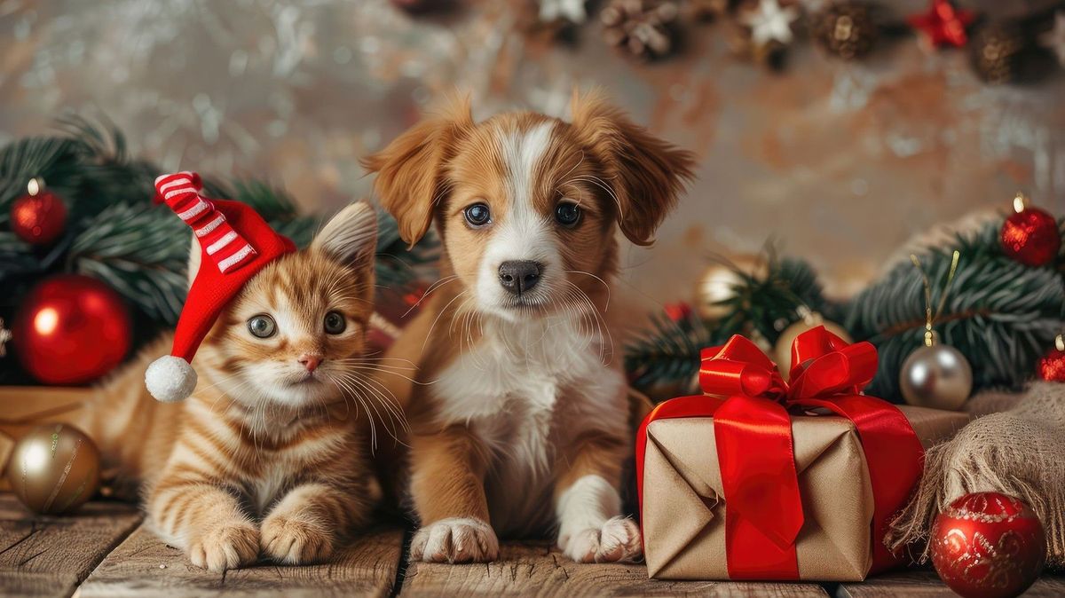 Vánoční inspirace na dárky pro domácí mazlíčky